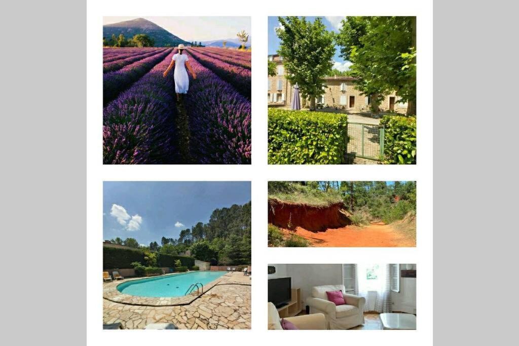 Eblouissant Appartement Au Calme D'Une Residence Avec Piscine Idealement Situe Au Pied Du Colorado Provencal Dans Le Prestigieux Luberon Рюстрель Екстер'єр фото